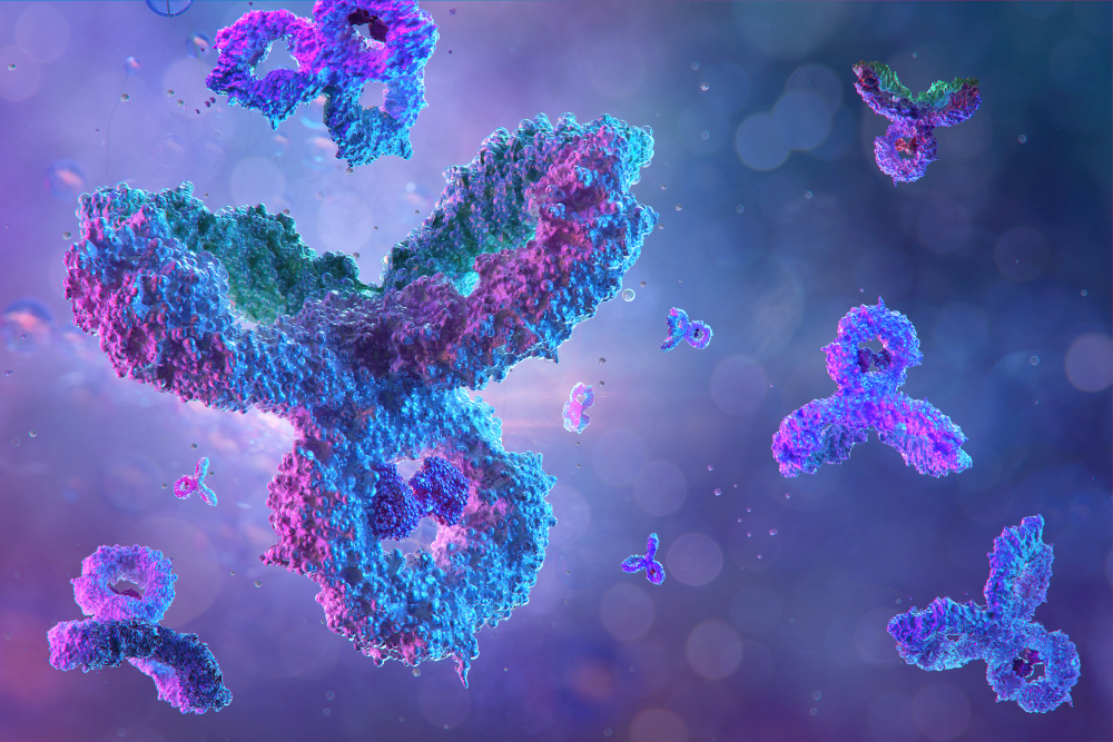 Polyclonal Antibody Production Services